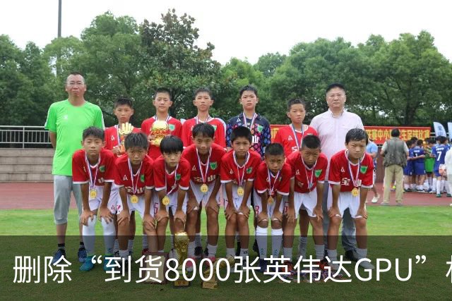 删除“到货8000张英伟达GPU”相关文章，软通动力回应